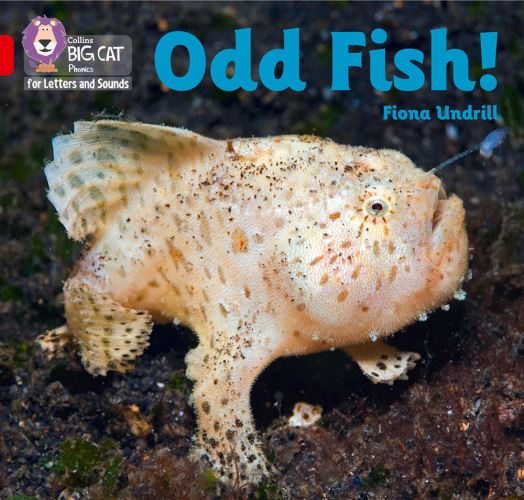 Odd fish!
