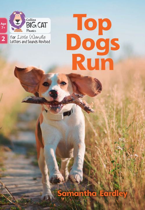 Top dogs run