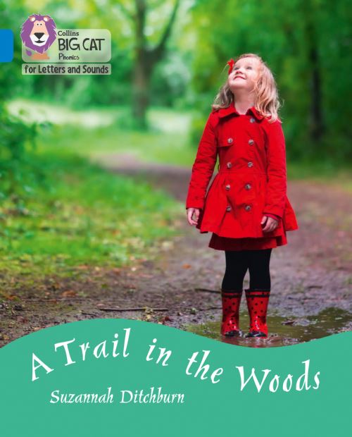 A trail in the woods