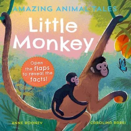 Little monkey