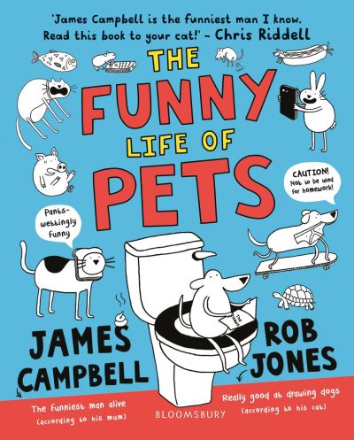 The funny life of pets